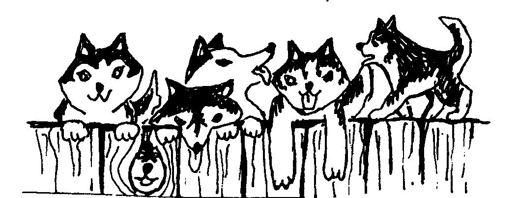 Life * Love * Friendship