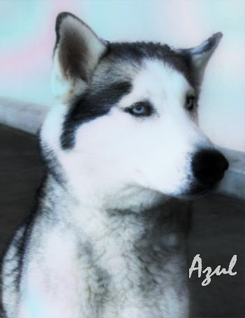 Azul