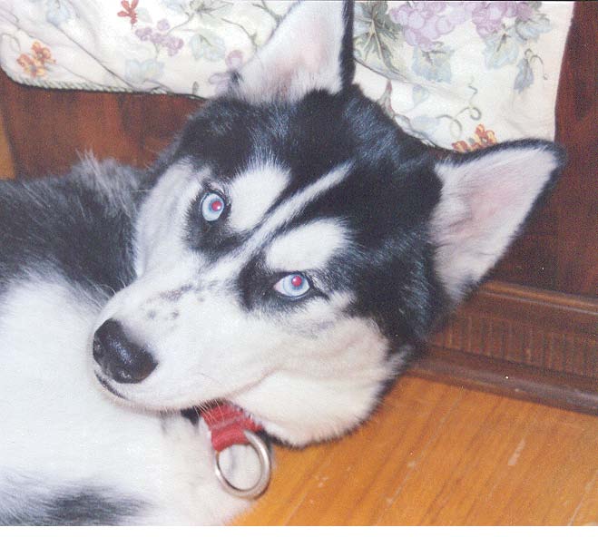 Denali