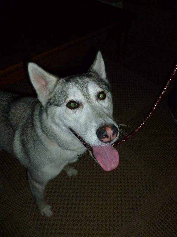 Inga