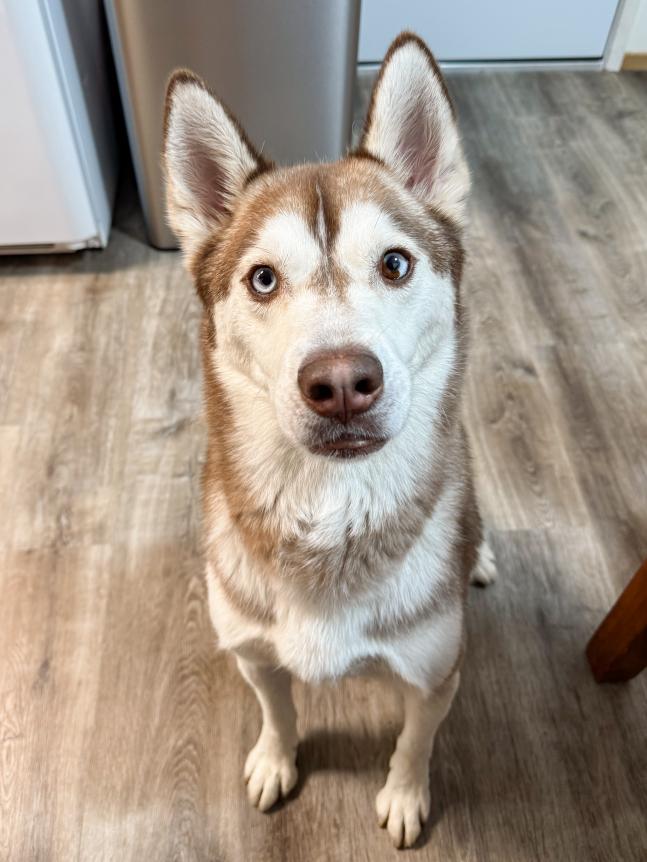 Logan