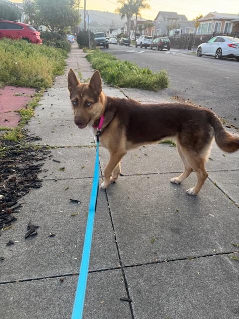 Luna