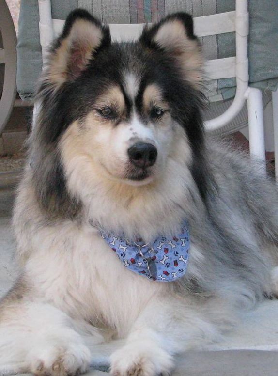 Romeo